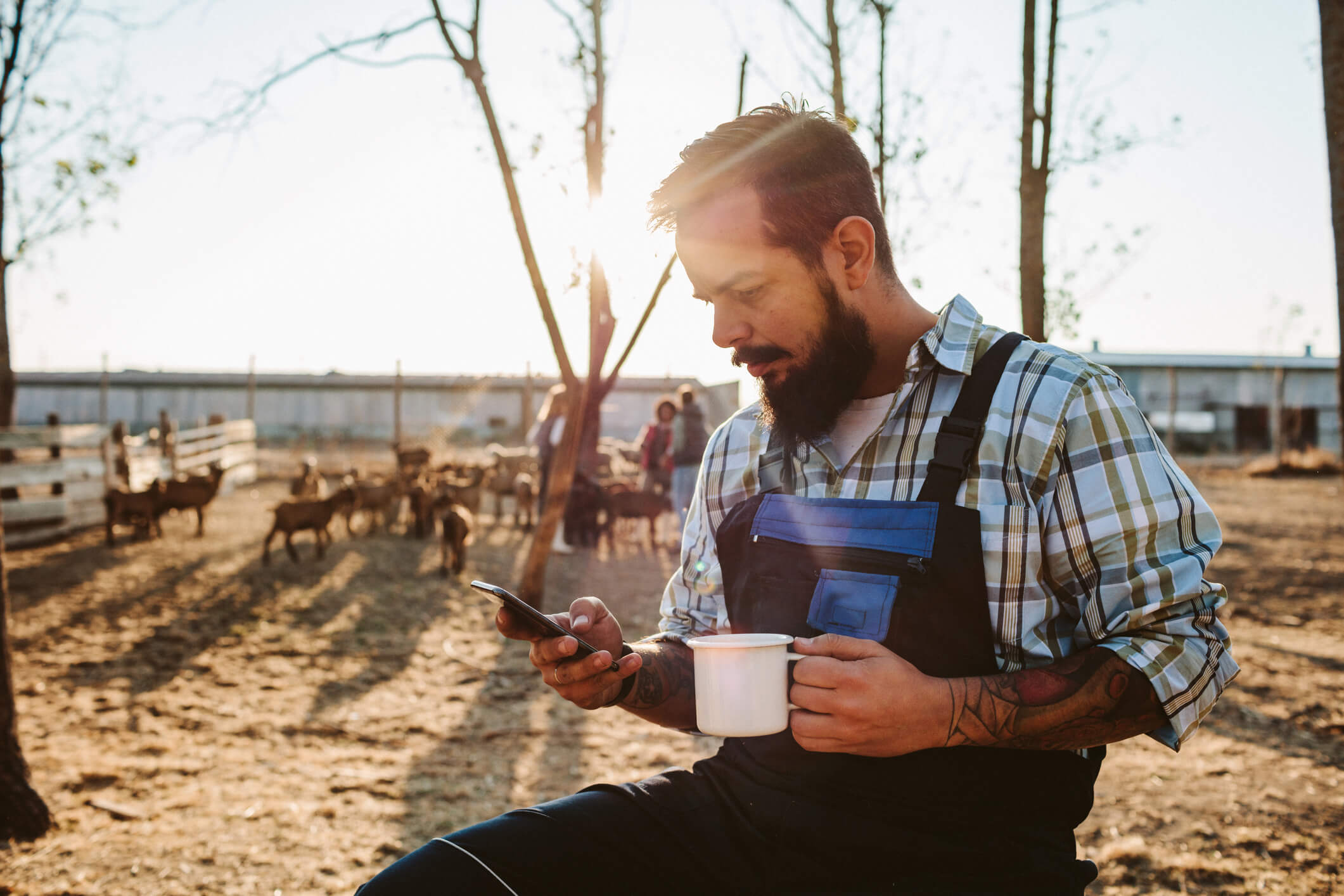 Farmer using Cardihab app in a field